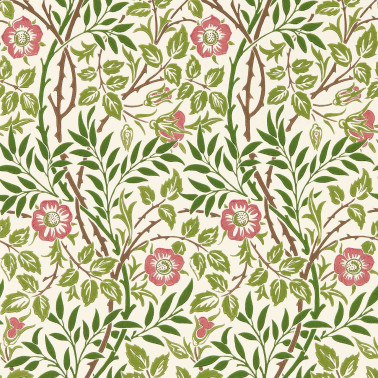 Sweet Briar Boughs Rose MFRW217370