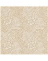 Marigold Manilla DM6P210372