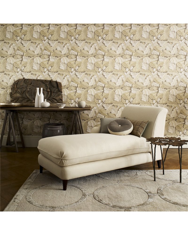 Acanthus Chalk DARW212554