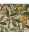 Fruit Lime Green Tan DGW1FU102