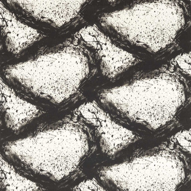 Enigmatic Black Earth HRFD121202