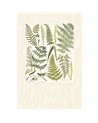 Geonature 366102