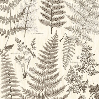Geonature 366105