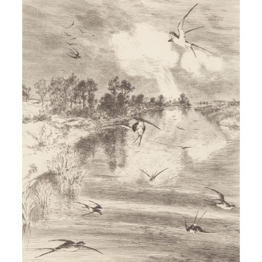Geonature 366101