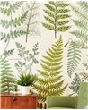 Geonature 366104