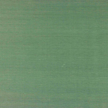 Lazare Agave M4131-24