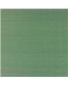 Lazare Agave M4131-24