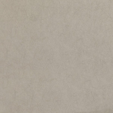 Papel Pintado W399-03 Asper - ROMO