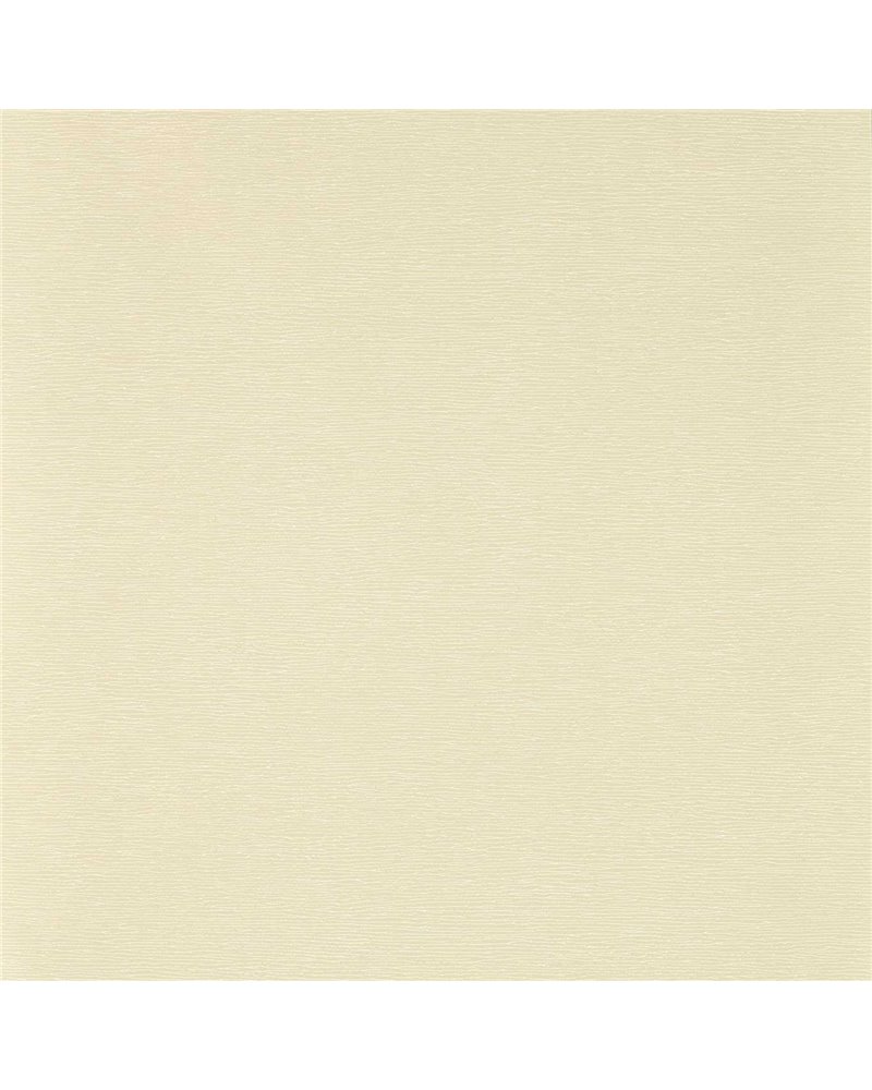 Arcus Oyster HRWO113082 Arcus Oyster HRWO113082