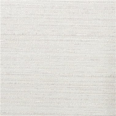 Silkx 67005