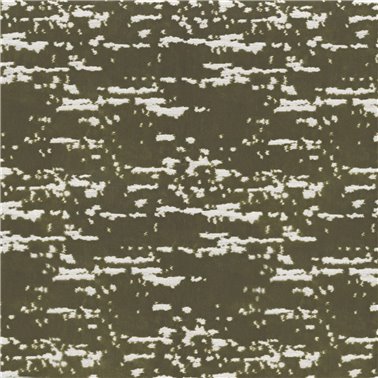 Limonite Sauge 49620280