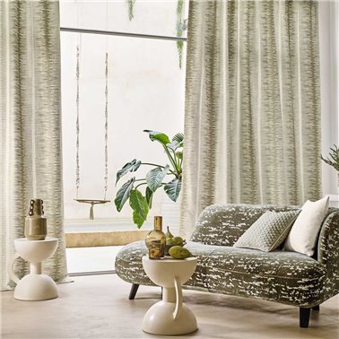 Limonite Reglisse 49620624