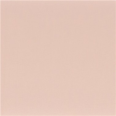 Anemone Nude 50112818