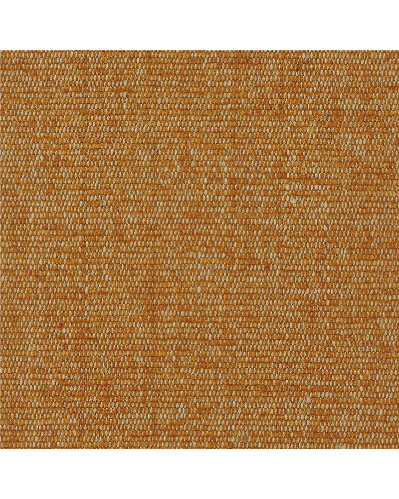 Plain Dune Curry TPLACUR Plain Dune Curry TPLACUR