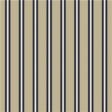 Cricket Stripe Blue FRL5275-01