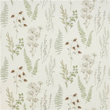 Corbell Green J0097-01