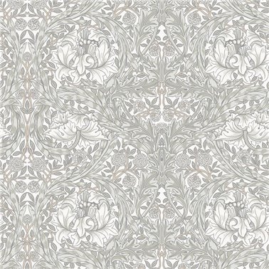 African Marigold 82022