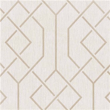 Trellis Cotton B00544