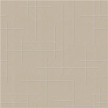 Monoclinic Stone B00526