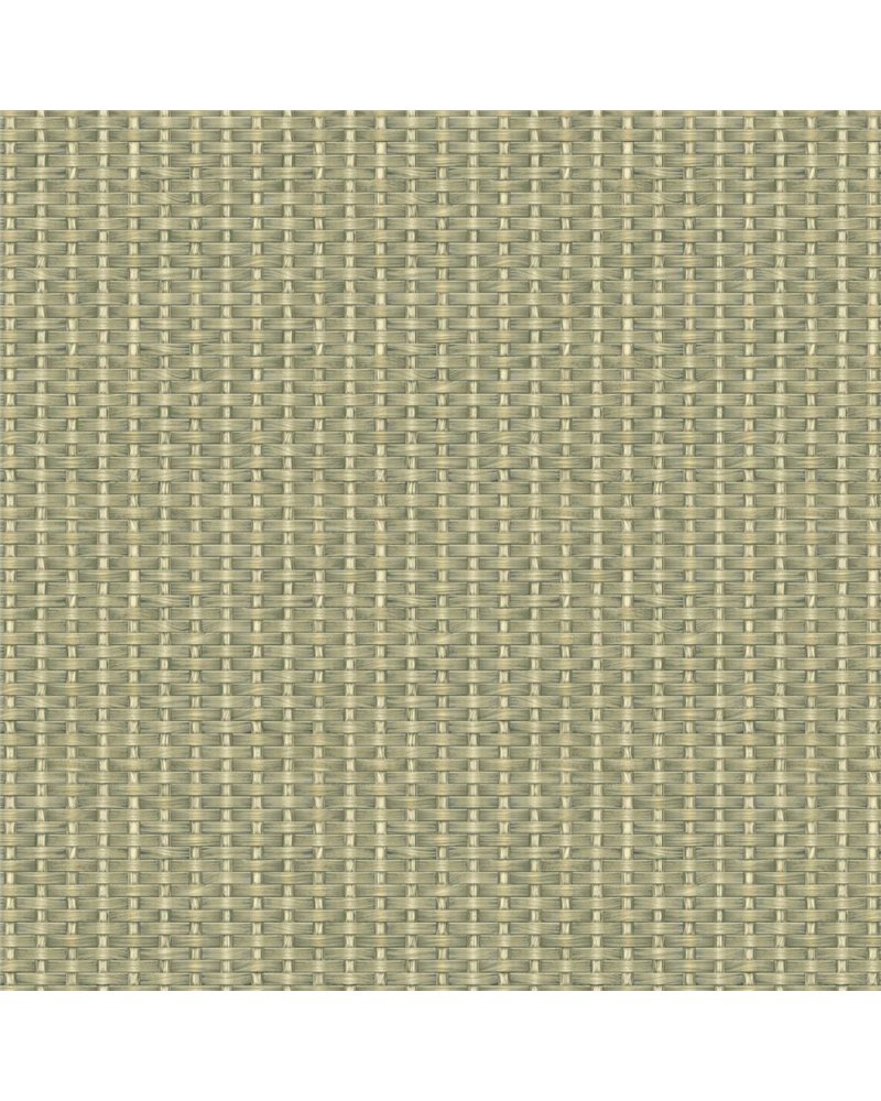 Kuba Raffia Leaves B00445