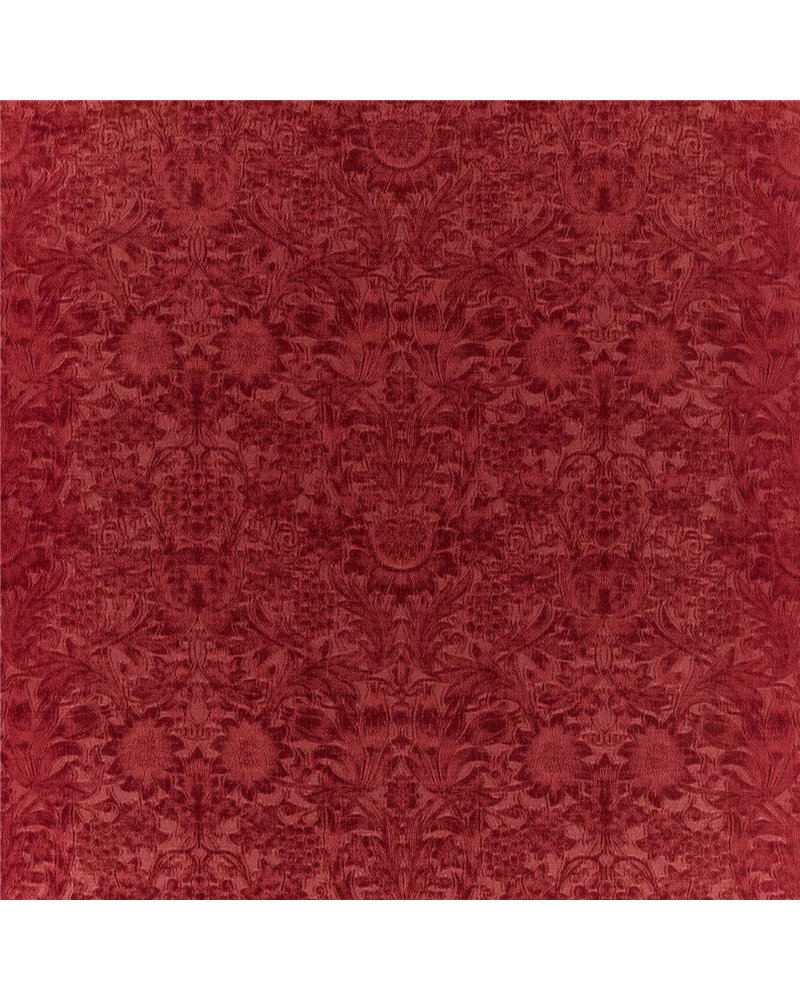 Sunflower Caffoy Velvet Barbed Berry MWAR237284 Sunflower Caffoy Velvet Barbed Berry MWAR237284