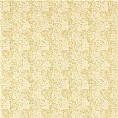 Marigold Wheat MAMB227103