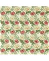 Crysanthemum Russet MAMB227100