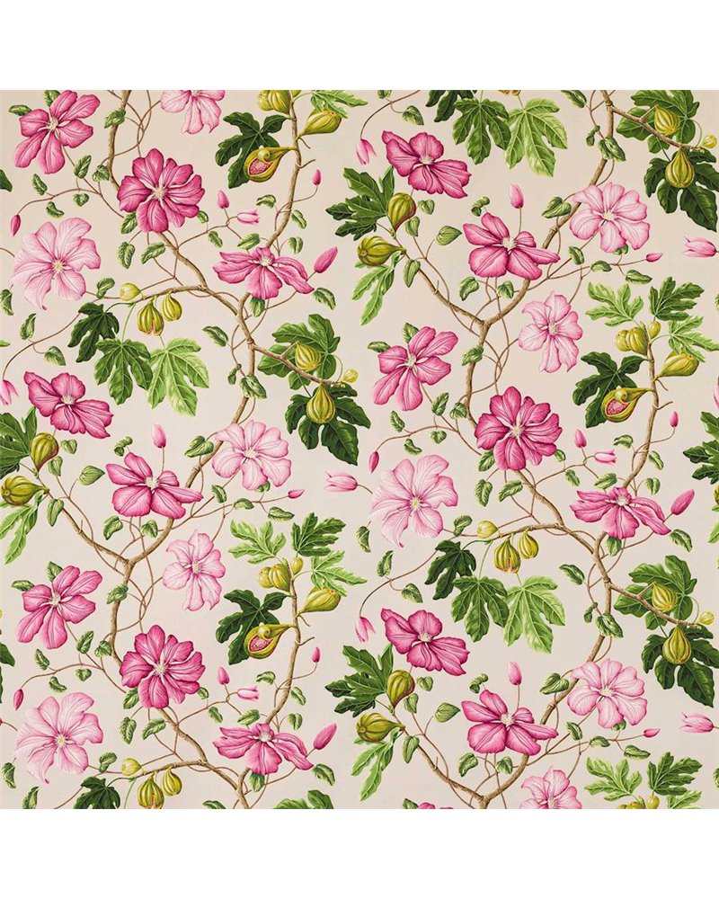 Castellane Fuchsia Dune M4098-02 Castellane Fuchsia Dune M4098-02
