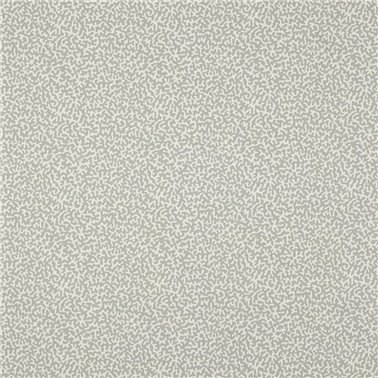 Apolline Glacier M4091-08
