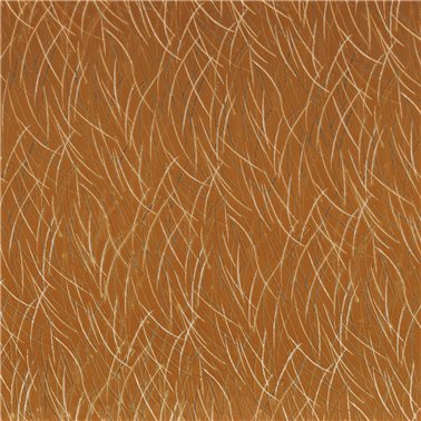 Euphorbe Ambre 46060881