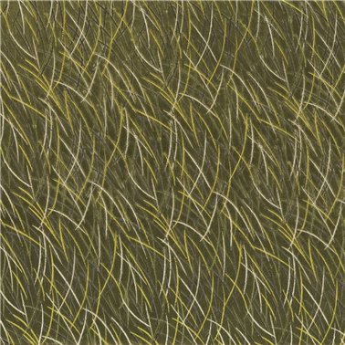 Euphorbe Kaki 46060412
