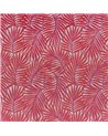 Cica Fuschia 46440523