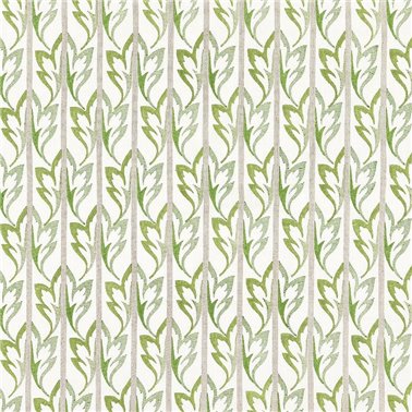 Dora Green NCF4554-04