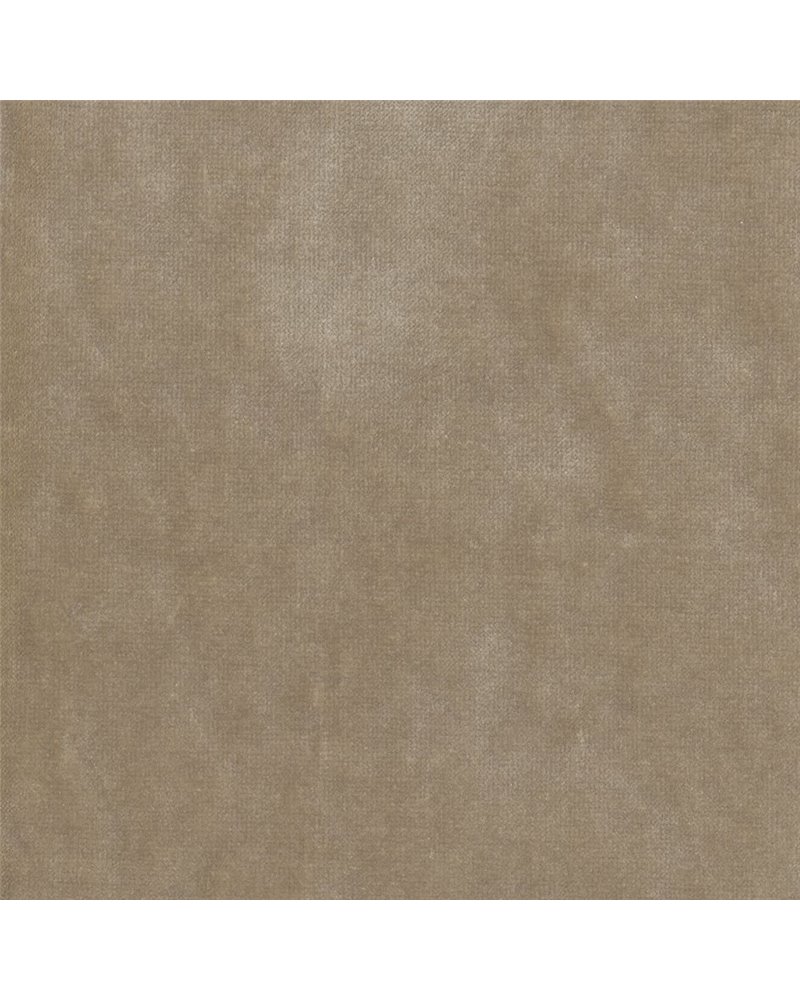 Gabrielle Oyster NCF4540-11 Gabrielle Oyster NCF4540-11