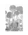 BEAUTY GRAPHITE
