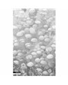 MEDUSE GRAPHITE