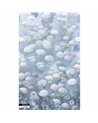 MEDUSE BLUE
