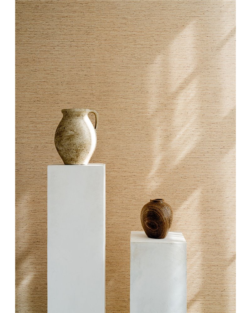 Motas Bone 73509