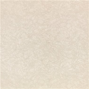 Shiri Mushroom W469-03