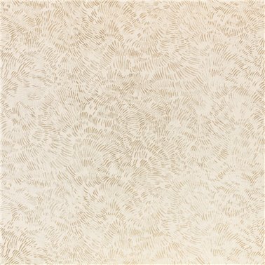 Shiri Shell W469-02