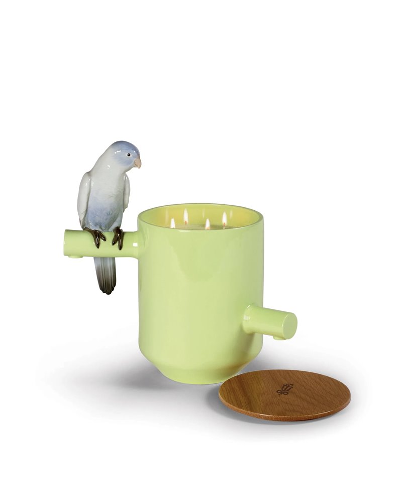 Vela Parrot Treasure. Aroma En el prado. Verde Vela Parrot Treasure. Aroma En el prado. Verde