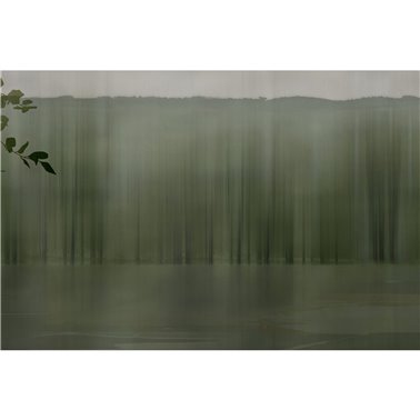 Amazzonia GLXIV231B