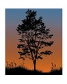 Sunset Mural TR71905M
