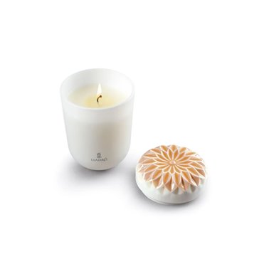 Vela Echoes of Nature....