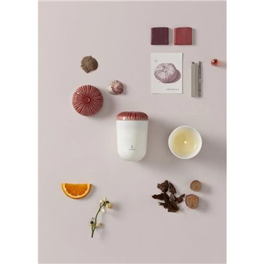 Vela Echoes of Nature....