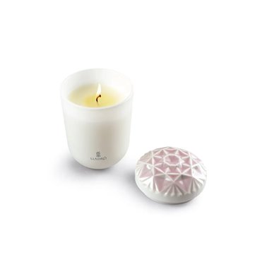 Vela Echoes of Nature....