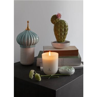 Vela Echoes of Nature....