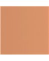 Pigments Terracotta 200333320