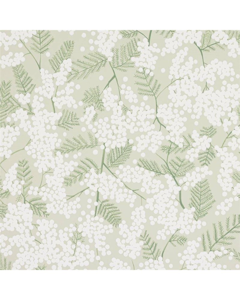 Mimosa Green J200W-02 Mimosa Green J200W-02