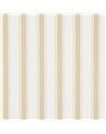 Camber Stripe Yellow J199W-02